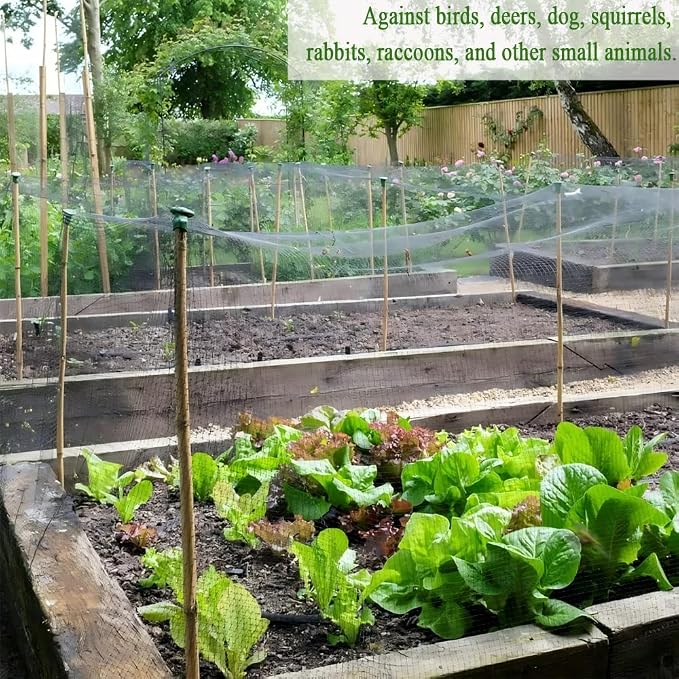 Bird Netting 50X50 FT, 1" Mesh, Strong Woven Garden Netting for Plants, Fruit Trees, Blueberry Bushes, Vegetables, Strawberry Protection, Against Bird, Deer, Squirres, Chicken, Small Animals