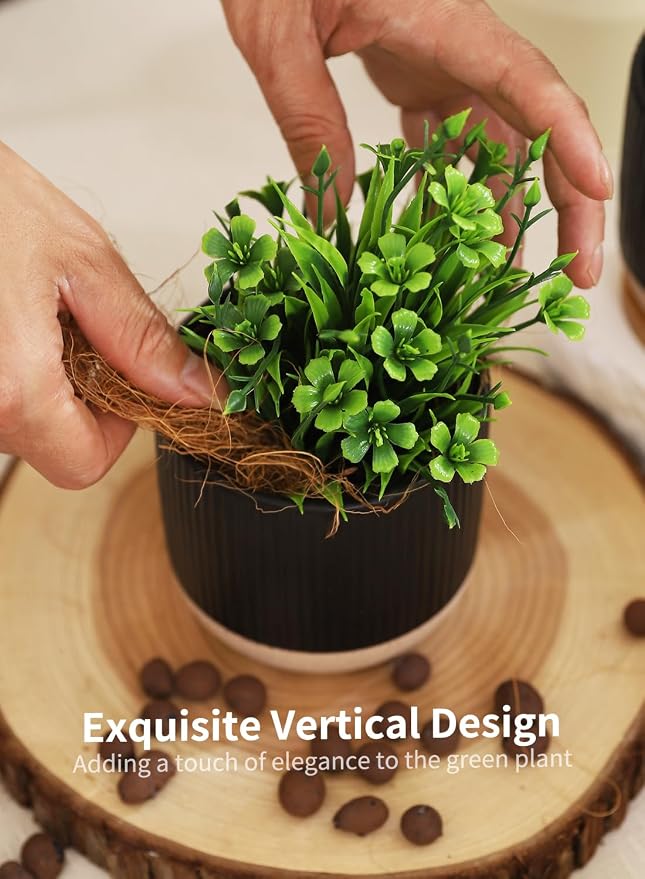 4" Black Ceramic Plant Pots with Drainage Holes & Trays Set of 4 | Vertical Stripes Succulent Pot with Saucer, Small Flower Planter Sets for Indoor Plants, Cactus & Herbs