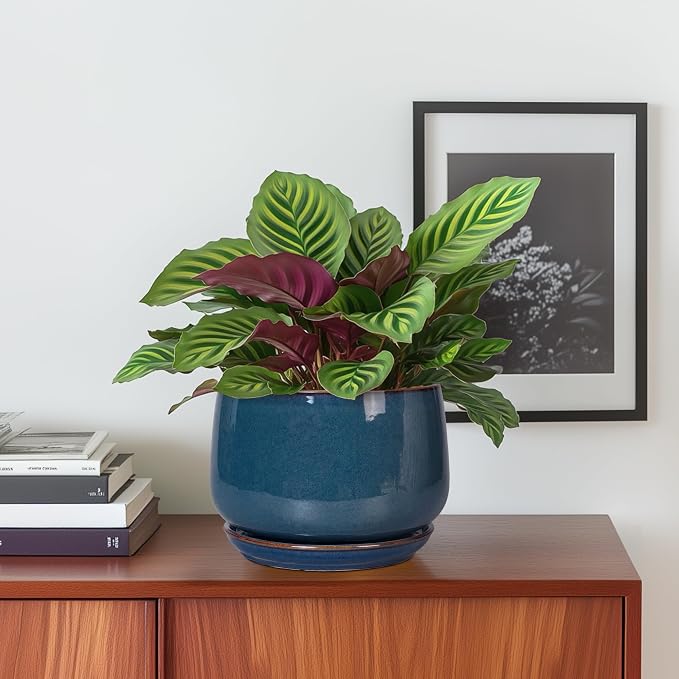 G EPGardening Ceramic Planter 6 Inch - Round Modern Ceramic Pot for Plants with Drainage and Plant Tray Indoor for Flower, Apartment Decor, Housewarming Gifts New Home, Retro Blue