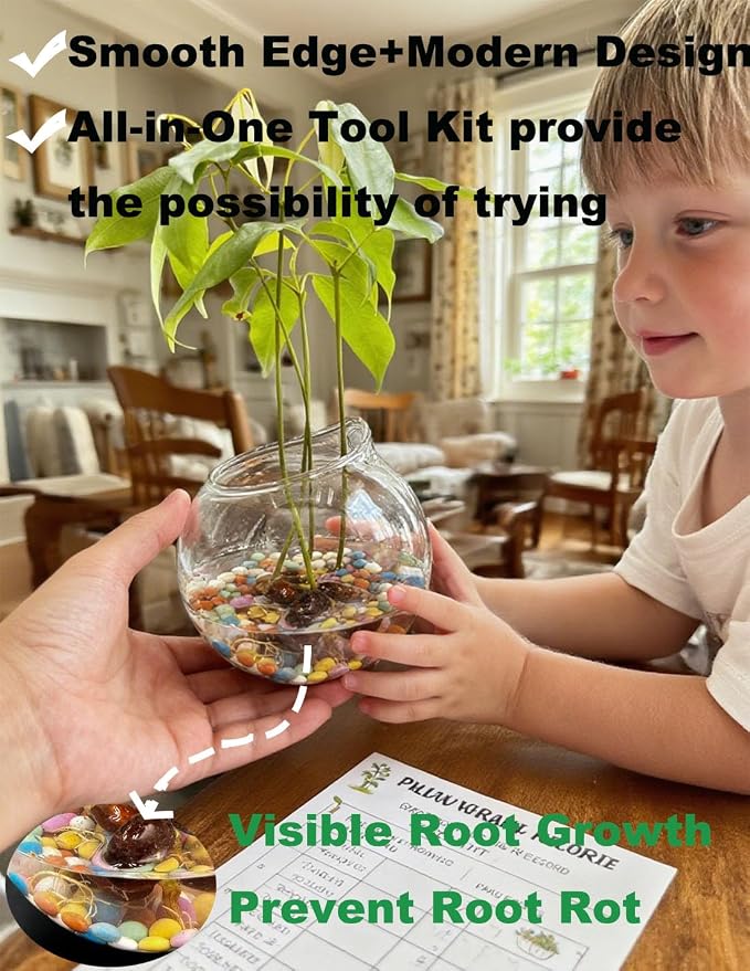 3 Pack Hanging Propagation Stations with Care Tool Kit (Squeeze Bottle & Tweezers Included), Glass Wall Planters for Indoor Plants, Hydroponic Terrarium Vases, Plant Lover Gifts for Women, Home Decor