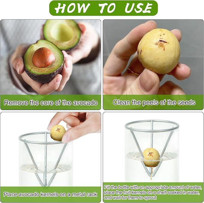 2 Pack Avocado Tree Growing Kits, Avocado Growing Vase Wooden Base Avocado Seed Starter Vase Glass Plant Pot Easy Seed Sprout Starter Gift for Women Gardening Lovers Home Office Table Decoration