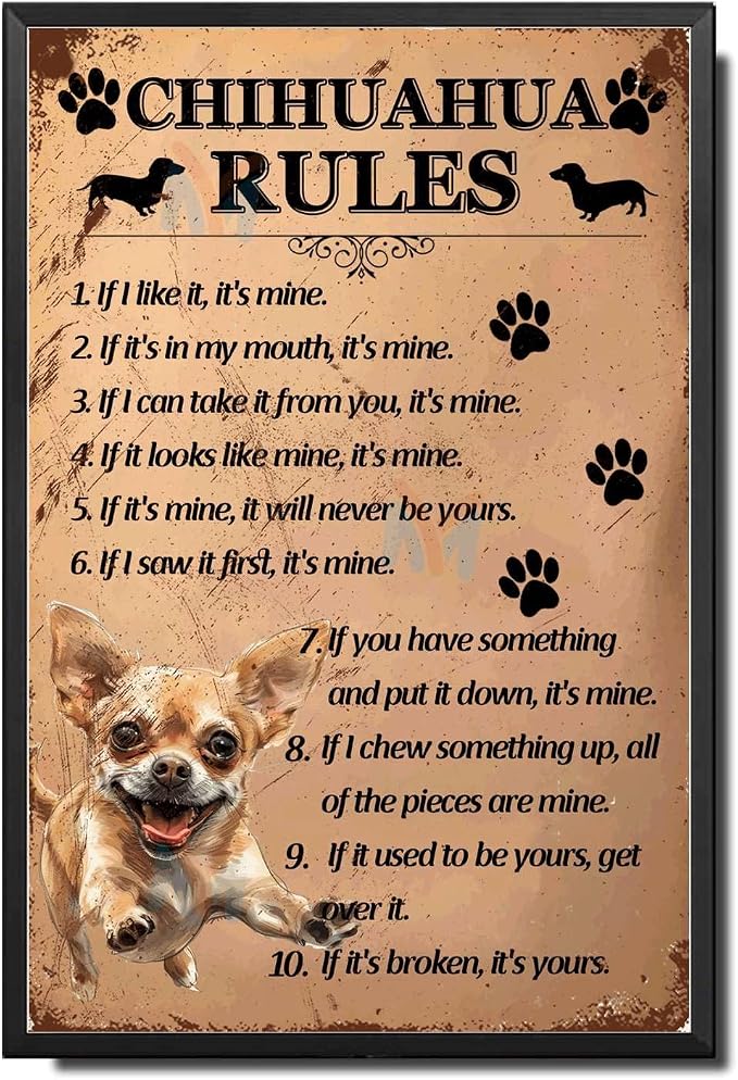 Metal Sign Tin Sign Vintage Wall Art Chihuahu Rules Garden Tin Sign for Room 12×16 Inches with Metal Frame