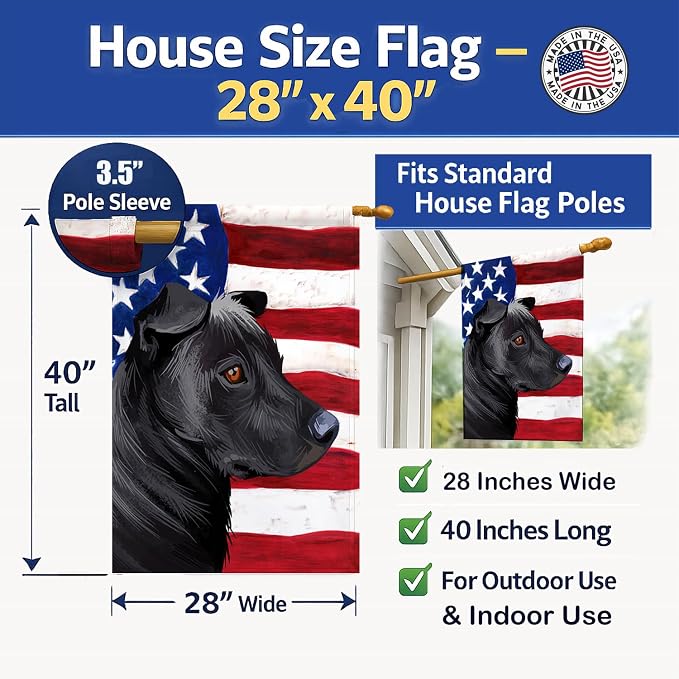 Caroline's Treasures CK6644CHF Phu Quoc Ridgeback Dog American Flag House Flag Large Porch Sleeve Pole Decorative Outside Yard Banner Artwork Wall Hanging, Polyester, House Size, Multicolor