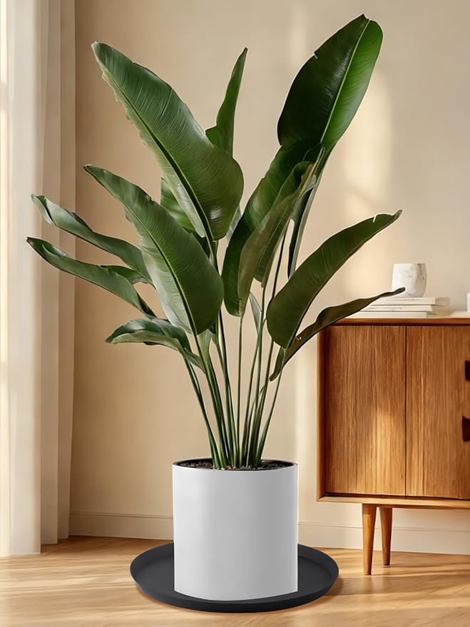 Kalolary 25 Inch Plant Saucer for Potted Plant Silicone Plant Trays Plant Saucer Growing Tray Heavy Sturdy Silicone Plant Drainage Saucers Plant Drip Trays for Pots Seed Starter Growing Trays