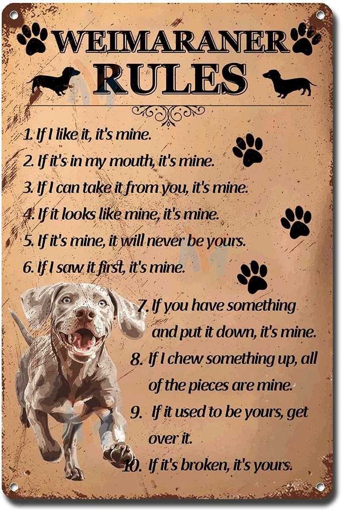 Metal Sign Tin Sign Vintage Wall Art Weimaraner Rules Metal Sign for Bar 8×12 Inches