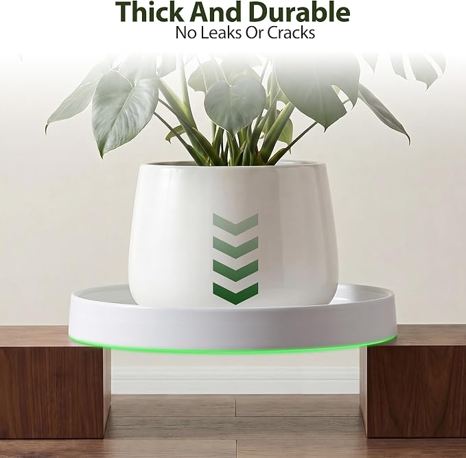 saffruff White Ceramic Plant Saucer 10 Inch, Sturdy Plant Pot Tray Plate for Flower Pots, Round Ceramic Saucer Tray to Catch Water Drip & Drainage, Indoor Outdoor Planter Base