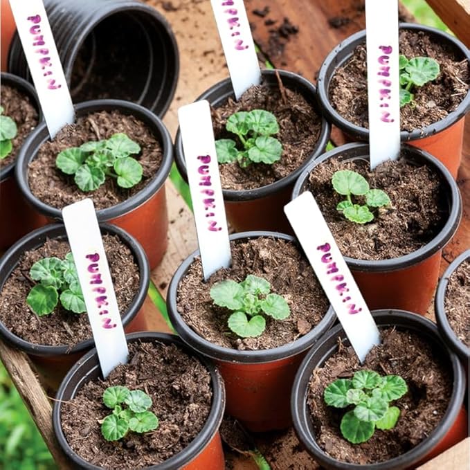 LWWTBS Plant Nursery Pot/Pots 200 Pcs 4" Plastic Small Plants Pots Flower Pots Seed Starting Pots for Plants Indoor Outdoor Seeding pots (with 200 Plant Labels)