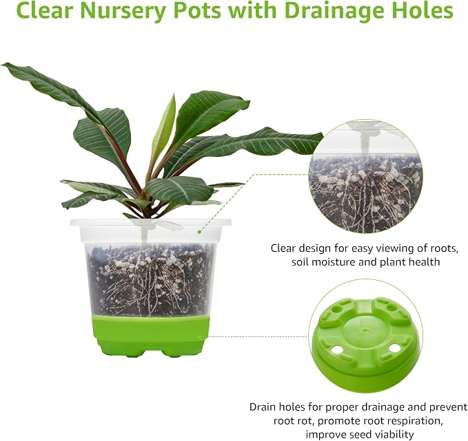 MIXC Thickened Clear Nursery Pots with Silicone Base for Easy Transplant 30 Packs 4 Inch, Transparent Plant Pot Reusable Seedling Pots for Vegetable Propagation, Root Cutting, Seed Starting, Green