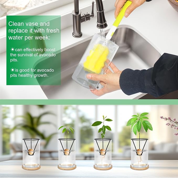 Avocado Tree Growing Kit with Bottle Brush Avocado Figurine, Bamboo Base, Avocado Seed Starter Vase Glass Plant Pot Easy Seed Sprout Starter Gift for Gardening Lovers Home Office Table Decoration