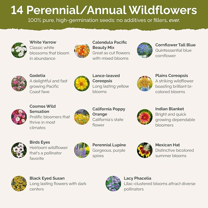 Eden Brothers Bird & Butterfly Wildflower Mixed Seeds for Planting, 25 lb, 12,000,000+ Seeds with Cosmos, Indian Blanket | Attracts Pollinators, Plant in Spring or Fall, Zones 3, 4, 5, 6, 7, 8, 9, 10