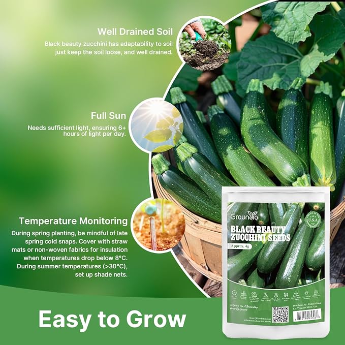 Groundio Black Beauty Zucchini Seeds 50+ Non-GMO Heirloom, High Germination Summer Squash Seeds for Planting, Dark Green Tender Fruits, High Yield Vegetable Garden Crop (Cucurbita Pepo)
