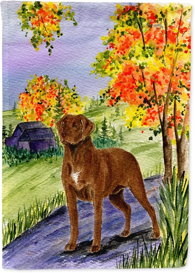 Caroline's Treasures SS8427GF Chesapeake Bay Retriever Garden Flag Mailbox Flag Decorative Yard Flag Banner Outside Patio Artwork Yard Flower Beds, Garden Size, Multicolor