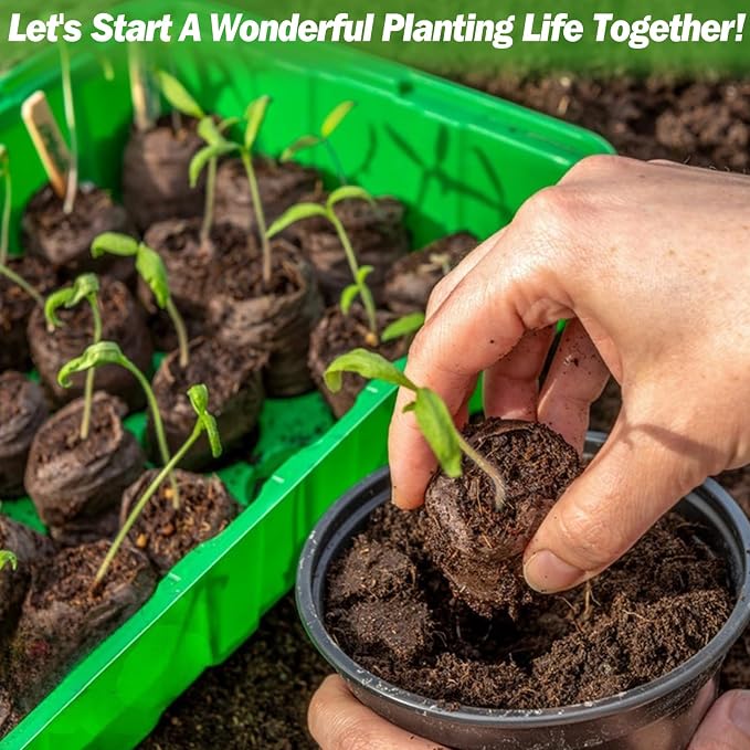 ZeeDix 50 Pcs 36mm Seed Starter Pods, Compressed Peat Pellets Seed Starter Soil for Seed Starting, Growing Vegetables, Herbs & Flowers, Indoor Outdoor Gardening Transplanting
