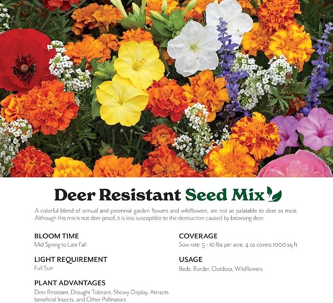 Grow Your Own Vibrant Annual and Perennial Wildflower Garden Seed Mixture, Varieties for Pollinators and Spring Gardens - Deer Resistant Mix, 25 lbs