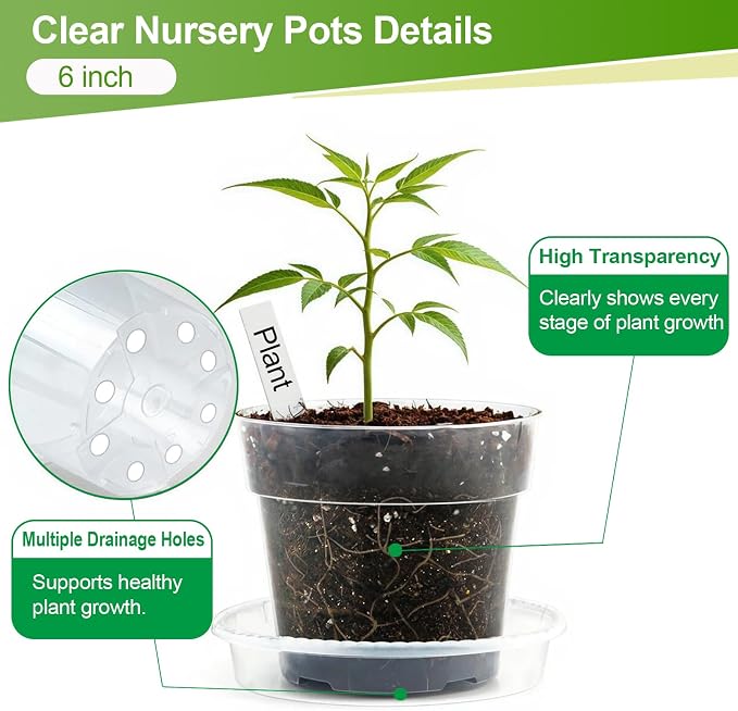 6/8/10 Inch Clear Nursery Pots with Saucers and 15 Pack Plant Labels,Transparent Plastic Plant Pots with Drainage Holes,Sturdy Seed Starter Pots for Succulents,Herbs,Flowers,Indoor Outdoor Plants