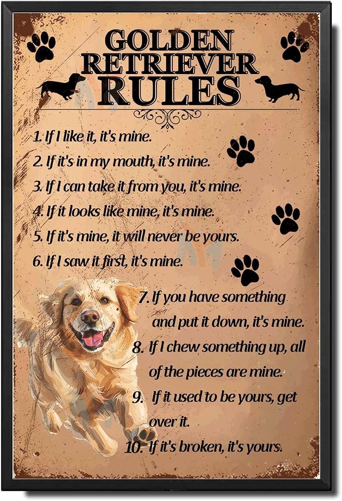 Metal Sign Tin Sign Vintage Wall Art Golden Retriever Rules Minimalist Wall Art for Bar 8×12 Inches with Metal Frame