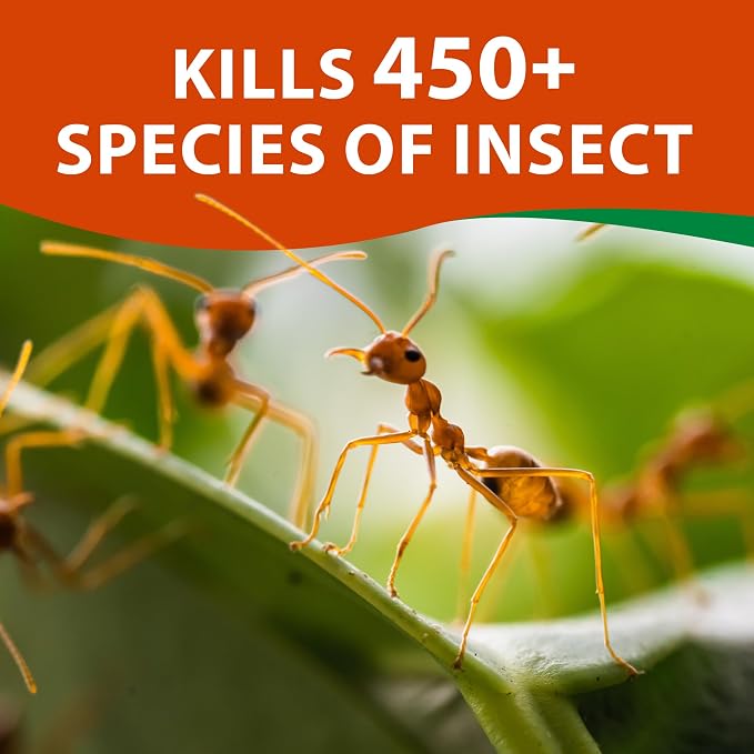 Monterey Take-Out Complete Insect Control RTS - Kills 450+ Insects, Controls Mosquitoes, Fleas, Ants, Mites - 1 Quart, Covers 16,000 Sq. Ft. - Bundled witih Monterey Measure Spoon