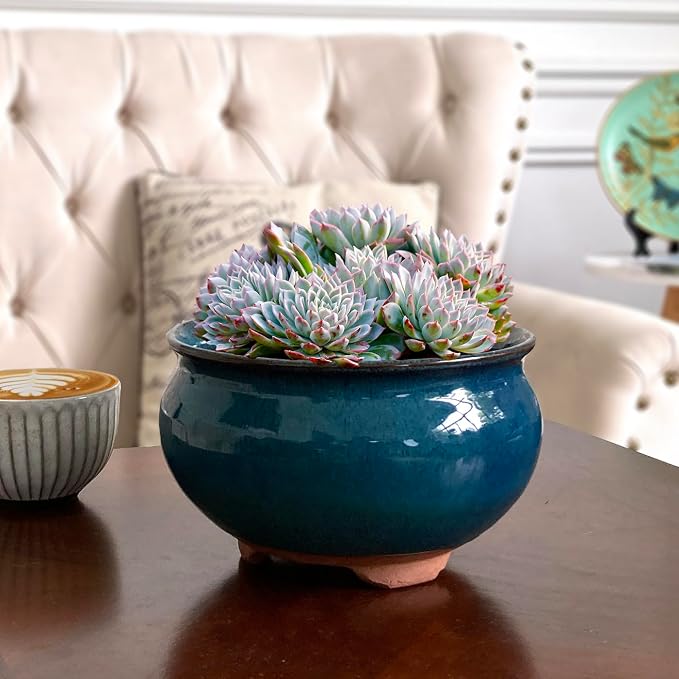 8 Inch Succulent Pot with Drainage and Saucer Glazed Terracotta Round Ceramic Succulent Planter Cactus Bonsai Plant Pot (Dark Green)