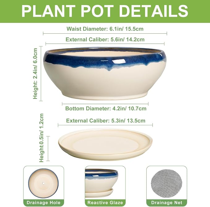 SQOWL Succulent Pots 6 Inch, Ceramic Bonsai Pots with Saucer, Blue-Beige | Round Shallow Planter for Indoor Plants, Ceramic Cactus Pot with Drainage Hole, Apartment Decor, Gifts for Women