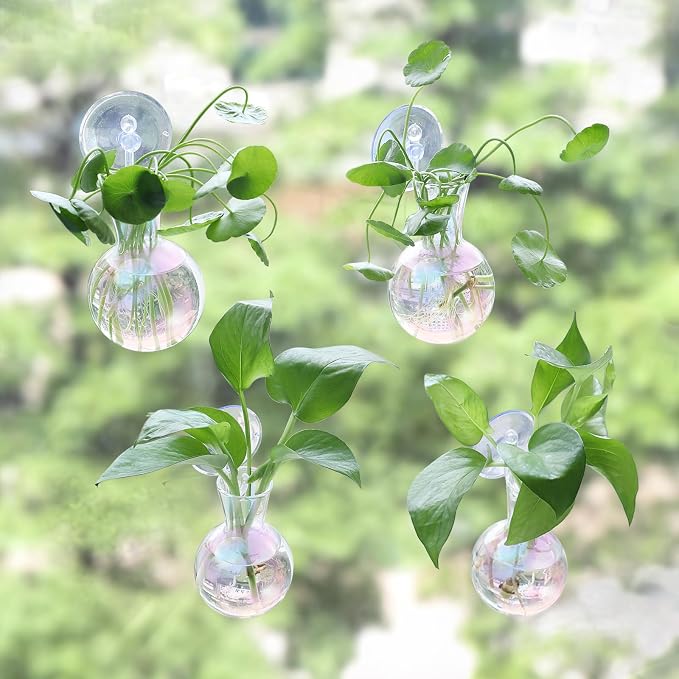Bunmery 4 pcs Iridescent Window Propagation Stations, Easy to Install Plant Propagation Bulbs with Suckion Cups, No Nails Wall Hanging Planter Propagation Station, Glass Plant Terrarium Vase