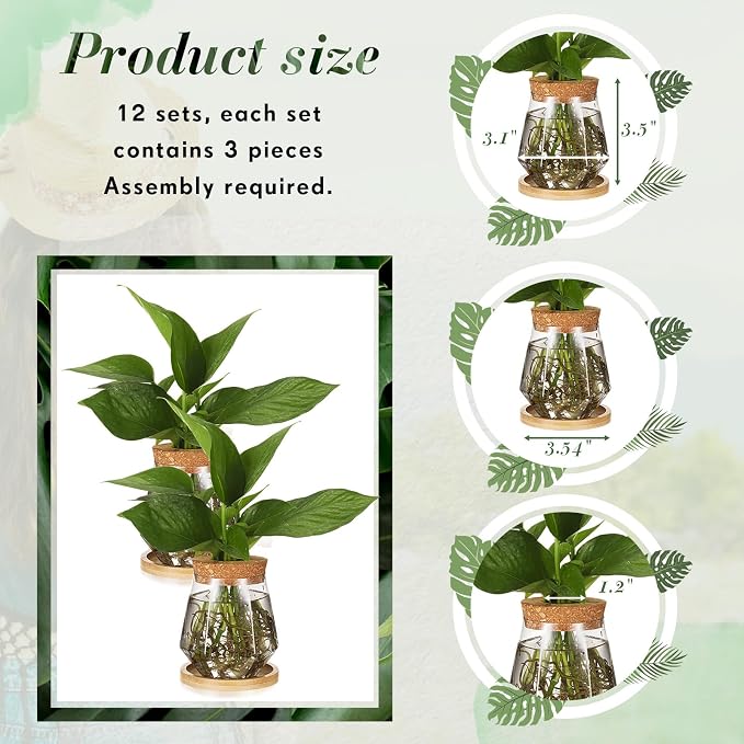 Baderke 12 Packs Propagation Vases for Plants Plastic Plant Propagation with Hole Lid and Bamboo Stand Growing in Water Hydroponic Home Office Desktop Vase Decoration (Cup Style)