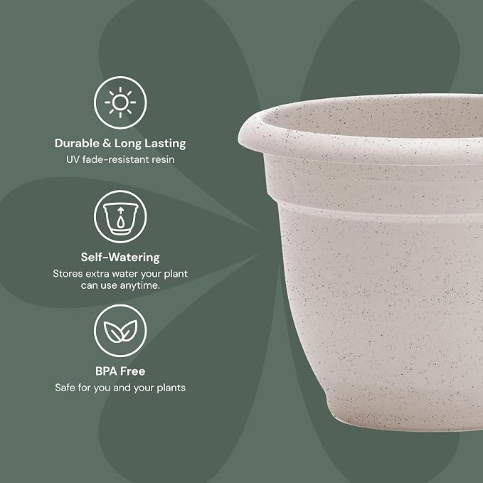 Bloem Ariana 8" Self-Watering Plastic Planter - Rolled Rim Indoor/Outdoor Garden Pot, Vanilla Bean