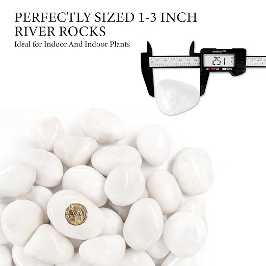 4lb White River Rocks for Plants, 1-3 Inch Pebbles for Indoor Plants, Polished Garden Rocks Outdoor Landscaping, Decorative Stones for Vases, Succulents, Aquarium, Walkways