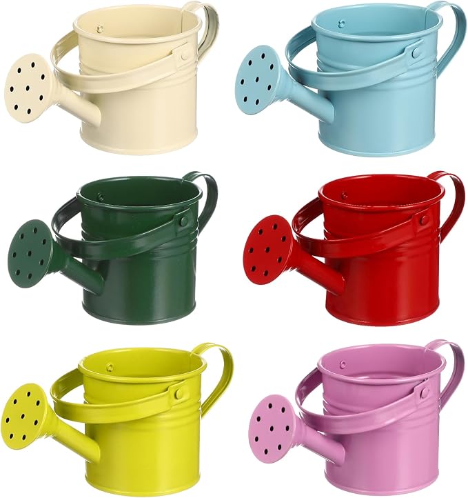 Cabilock 6-Pack Small Watering Cans for Indoor Plants Lightweight Plastic Watering Pots with Easy Grip Ideal for Succulents and Air Plants Gardening 5.90 Inch