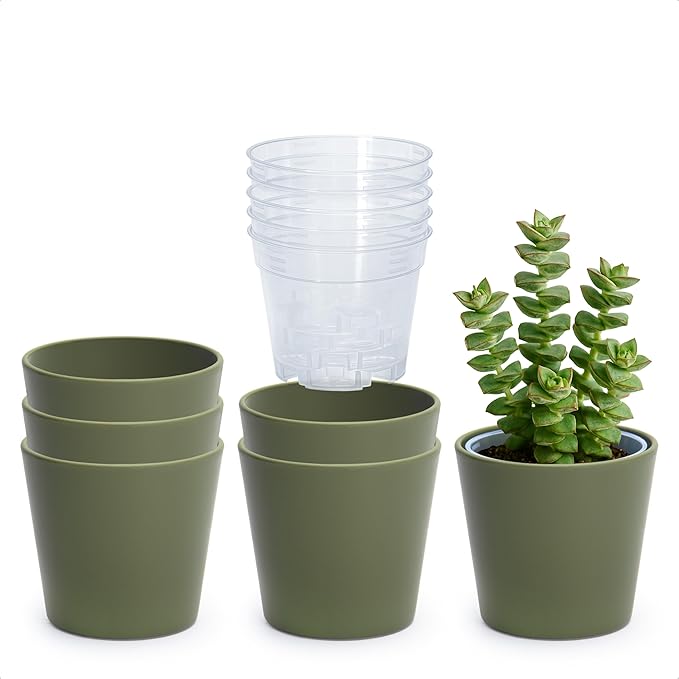 Phoenix Vine 4.5 Inch Olive Plastic Cachepot with Clear Nursery Pot, Decorative Lightweight Planter Cover with Transparent Inner Pot for Indoor Houseplants, Pack of 6, 24-B-F-6