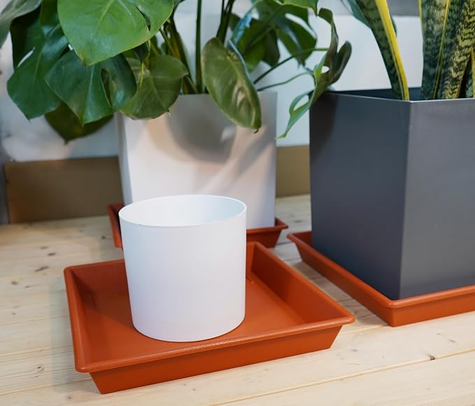 NIMYAU Square Plant Saucer 12 Inch 5 Pack, Plant Stand Plant Trays for Pots Heavy Duty Plastic Plant Saucers for Indoors Outdoors, Flower Pot No Holes Terracotta Plant Lover Gardening Gifts