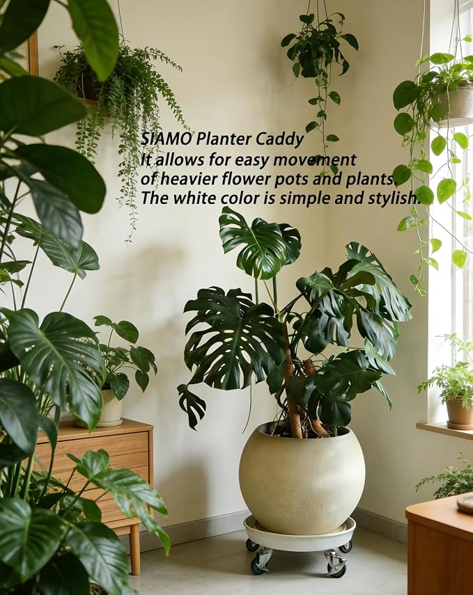 SIAMO 20" Heavy Duty Plant Caddy (570lbs Capacity)-Lockable Non-Scratch Swivel Casters All-Weather Rolling Plant Stand Saucer for Large Ceramic Planters & Heavy Trees,White,1-Pack