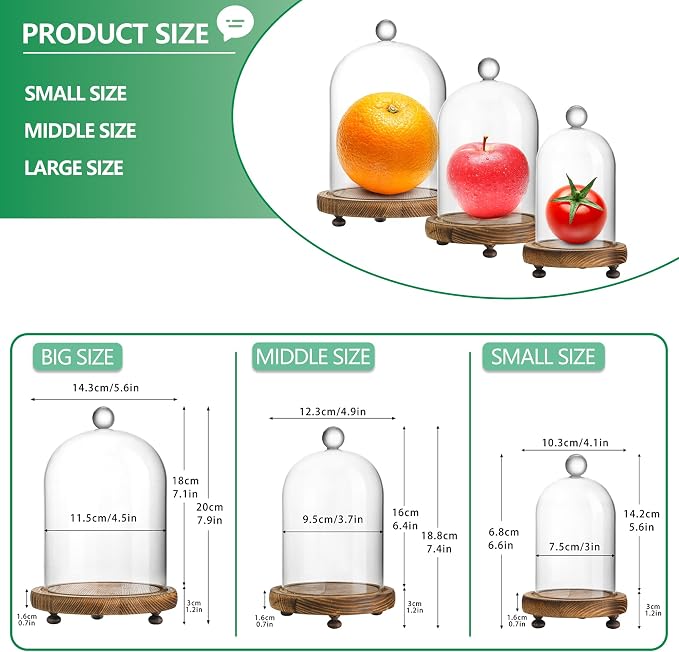 Set of 3 Decorative Glass Cloche Bell Jars with Wooden Bases, Assorted Sizes for Table Centerpieces, Seasonal Decorations and Home Accents