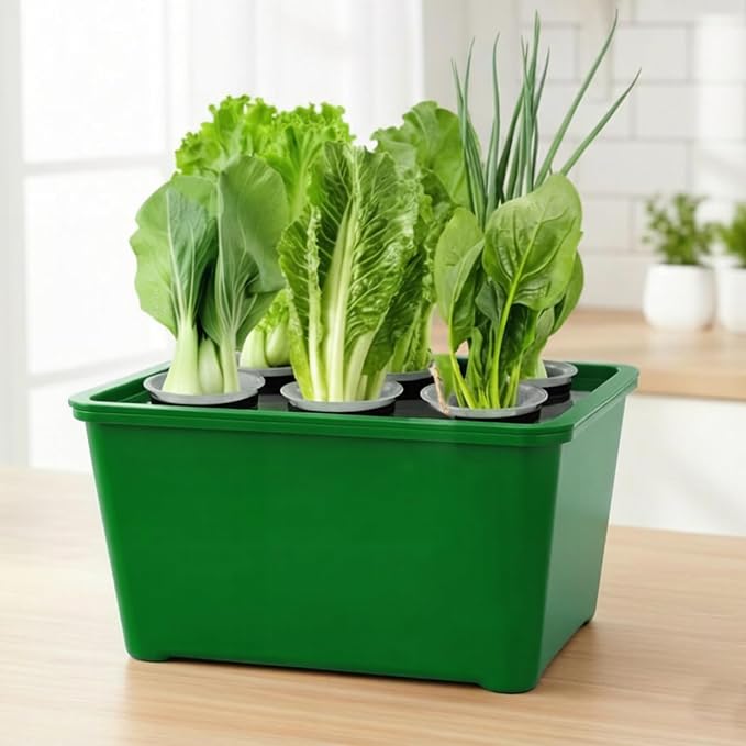 Hydroponics Growing System Kit, 6 Pods Indoor Herb Garden with Pump, Germination System for Vegetables, Lettuce, Basil Growing Plant Propagation (Green)