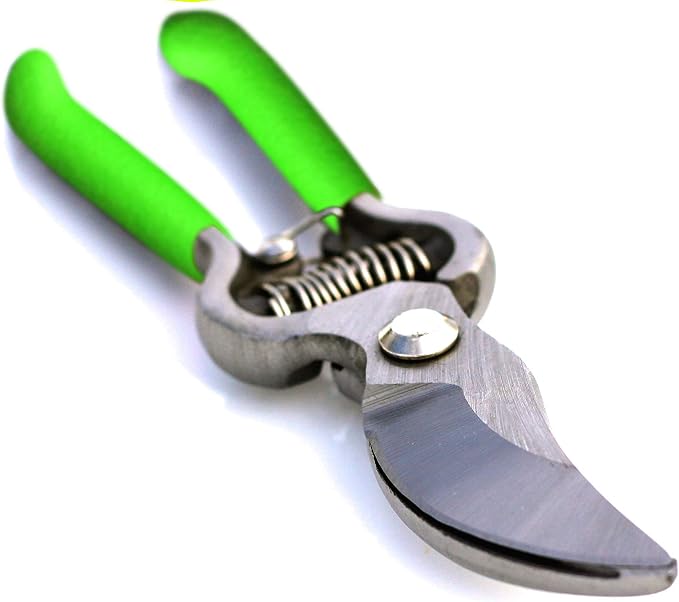 Garden Guru Classic Bypass Pruning Shears Clippers – Heavy Duty Forged Steel Pruners – Non Slip Comfort Grips – Cuts up to 1” Diameter – Professional Bypass Pruners for Gardening - 1 Case (60 Pcs)