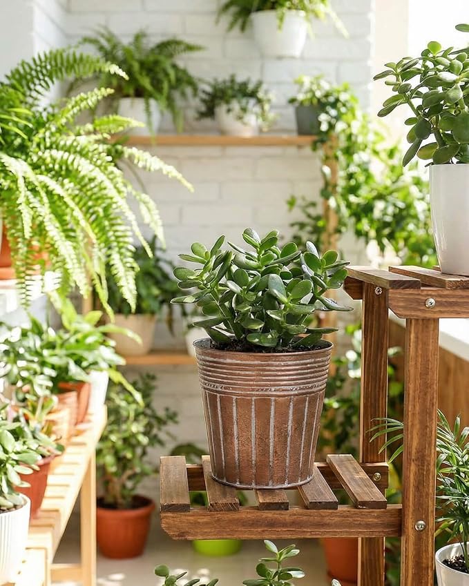 vensovo 5 Inch Galvanized Bucket Planter - 6 Pack Metal Flower Pots with Drainage Holes & Plugs, Rustic Bronze Tin Pots for Indoor Herbs, Outdoor Succulents, Farmhouse Home Garden Decor