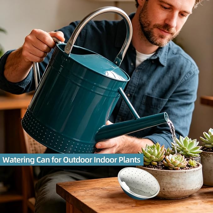 2 Gallon Meltal Garden Watering Can Removable Spout, Galvanized Steel Large Water Can with Embossed Design for Outdoor Indoor Plants (Ocean Blue, 2 Gallon)