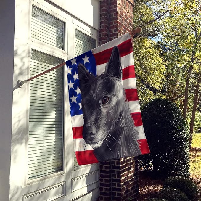 Caroline's Treasures CK6701CHF Seskar Seal Dog American Flag House Flag Large Porch Sleeve Pole Decorative Outside Yard Banner Artwork Wall Hanging, Polyester, House Size, Multicolor