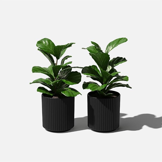 Veradek Demi Series Round Planter for Porch, Patio, Backyard | Durable Plastic-Stone Composite Material | Modern Décor for Tall Plants, Flowers