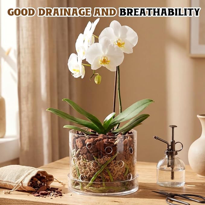 6 Inch Clear Acrylic Orchid Planter Pot with 360° Round Holes & Tray, Thick Acrylic Vented Planter for Phalaenopsis, Root Airflow, Bottom Watering & Indoor Orchid Repotting