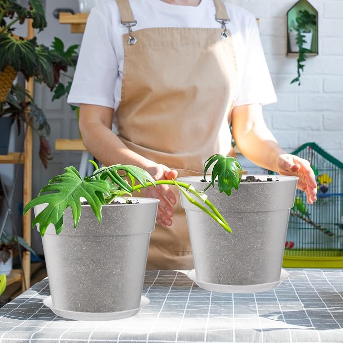 Baderke 3 Pack Clear Nursery Pot Plastic Nursery Pot Large Plant with Drainage Holes for Root Health Indoor Outdoor (8 Inches)
