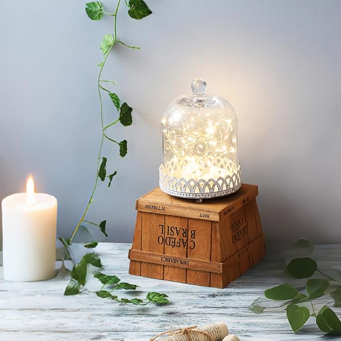 Twakutwku 8" Tall Large Sturdy Handmade Glass Cloche Dome with Metal Base in Shabby White for Plant, Terrarium, Collectibles, Candle. Cloche Glass Dome, Bell Jar Display Case (Shabby White, 8")