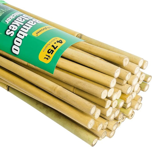 Jollybower 1/2" D 4.75 Feet Bamboo Stakes 50 Pack, Thicker Heavy-Duty Plant Stakes, Natural Garden Stakes for Bean, Tomato, Bean, Flowers,Trees Potted and Climbing Plant Support