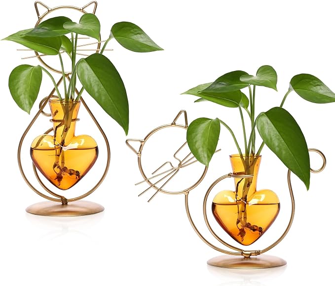 Plant Terrarium Plant Propagation Station Cat Lover Gifts for Women | Plant Lovers Home Office Decor Cat Desk Accessories