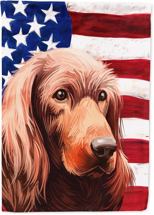 Caroline's Treasures CK6570CHF Irish Setter Dog American Flag House Flag Large Porch Sleeve Pole Decorative Outside Yard Banner Artwork Wall Hanging, Polyester, House Size, Multicolor