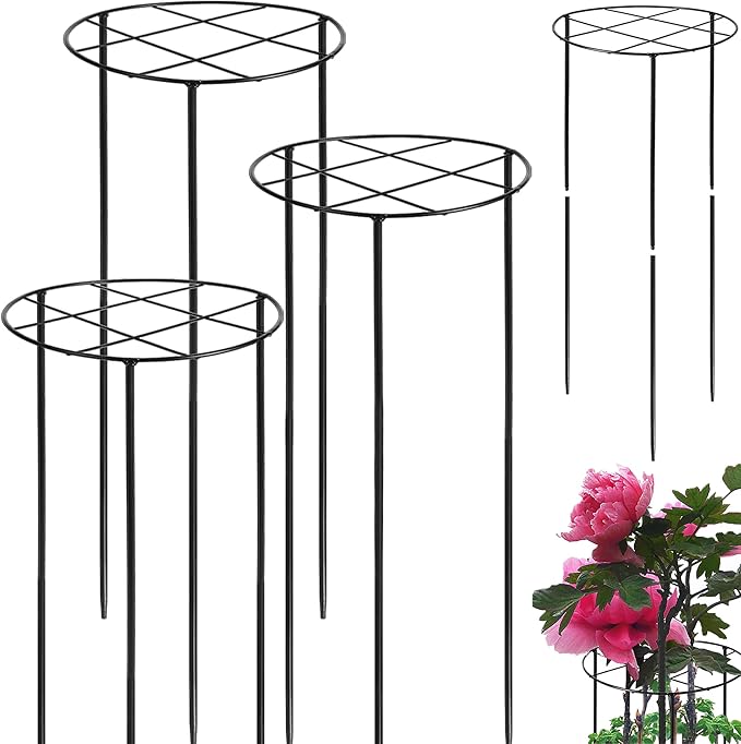 3 Pcs Large Peony Cages and Supports, 31.5"H x 12.6"D Grow Through Plant Support for Outdoor Plants, 7mm Stake Heavy Duty Metal Peonies Support Cage Peony Ring Plant Grid for Vegetables Roses Tomatoes