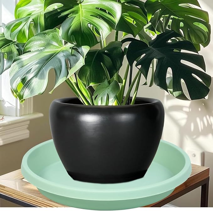 NIMYAU Plastic Plant Saucers 10 Inch Round Pack of 2 Thick Reusable Drip Trays for Indoor Outdoor Plants