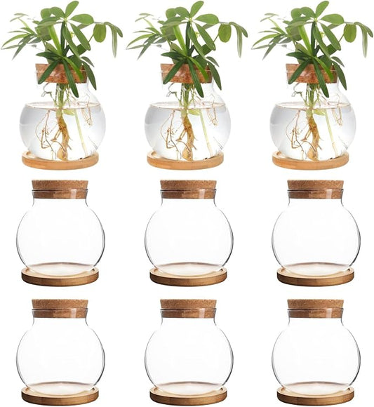 Plant Propagation Station,Hydroponic Glass Container Vase Jars, with Wooden Saucer for Desks, Houses, Garden Decorations, Home Kitchen Decorations and Gifts for Plant Lovers (9)
