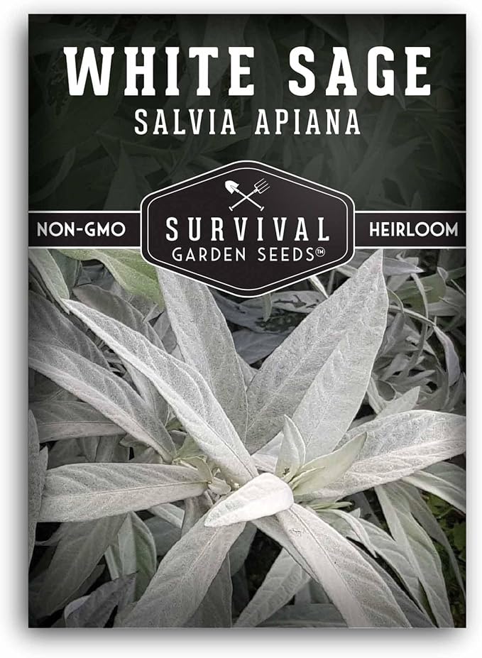 Survival Garden Seeds White Sage Seeds for Planting, 1 Pack | Salvia Apiana Seed, Native California Plant for Warm Dry Gardens & Smudging Herbs - Open-Pollinated Variety