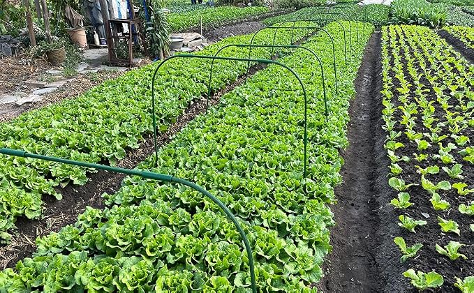 10 Sets Garden Hoops for Raised Bed, Greenhouse Hoops with 30 Clips Detachable Garden Hoops for Netting DIY Grow Tunnel Hoops for Vegetable and Plant, Greenhouse Support Frame Hoops
