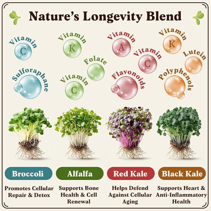 Seedboy Organic Non-GMO Sprouting Seeds, Longevity Blend - USA Grown Microgreens Mix with Broccoli, Red Kale, Black Kale, Alfalfa - 8 oz Bag Makes 8 Quarts / 32 Servings (Longevity Blend)